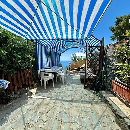 Agavi * Levanto