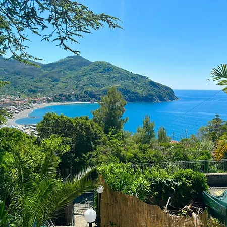 Agavi * Levanto